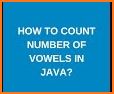Howie Find Vowels related image