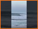 Surf Clean related image