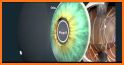 Human eye anatomy 3D related image