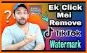 TikTok Video Downloader - No Watermark related image