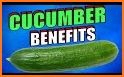 Cucumber related image