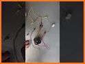 Bulb and Switch A game for all related image