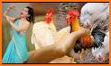 Talking Rooster: Funny Chicken Games 2021 related image