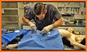 PET DOCTOR HOSPITAL: ANIMAL SURGERY HOSPITAL related image