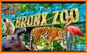 ZooMap Bronx Zoo related image