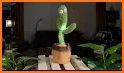 Talking Cactus : Dancing Music related image