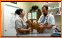 Cat Vet Clinic related image