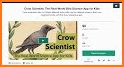 Crow Scientist related image