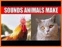 Animal sounds for kids babies and children related image