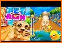 Pet Run – Funny Game related image
