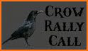 Crow Calls HD related image