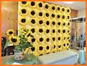 Beautify Yellow Sunflower Theme related image