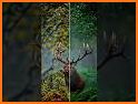 Advanced HD Photo Editor related image