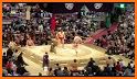 Sumo Wrestling 2019: Live Sumotori Fighting Game related image