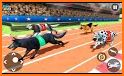 Dog Race Game 2020: Animal New Games Simulator related image
