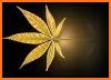 Marijuana Live Wallpaper related image