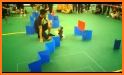 Obstacle Course - Darwin related image