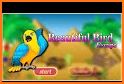 Free New Escape Game 104 Colourful Bird Escape related image