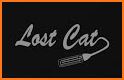 The Lost Cat related image