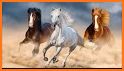 Horse Ride Music Gallop related image