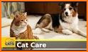 Merge Cute Animals: Cat & Dog related image
