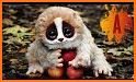 Pet Sugar Glider Care Guide related image