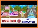Dog Run - Pet Runner Simulator related image