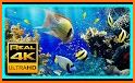 Amazing Aquariums In HD related image