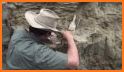 Dino Bone Digging related image
