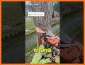 Tree Cut related image