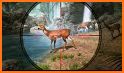 Deer Hunting 2021-Wild Animals Hunting Games related image