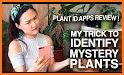 Plant Story - Plant Identifier & Gardening related image