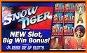 Wild Tiger Slots related image
