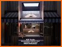 Solitaire Cafe Design & Decor related image