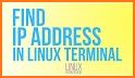 Linux Terminal Handbook related image