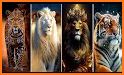 Lions Wallpaper related image