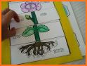 Garden Plan - Flower Planting Puzzle related image