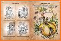 Classic Adult Coloring Book related image