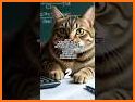 Math Quiz Game 2022 related image