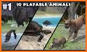 Forest Animals Simulator related image