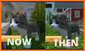 Cat Simulator 2021: Virtual Cat Life 2021 related image