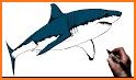 Shark Draw Step by Step related image