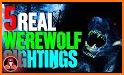 Werewolf - Monsters are real related image