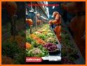 Smart Kitchen: AI Inventory related image
