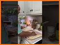 Meal planning related image