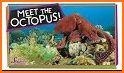 Octopuses Basic Infos related image