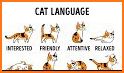 Cat Facts related image