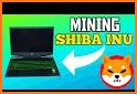 Shiba Inu Miner related image
