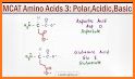 Amino Acid Quiz related image