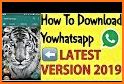 Yo Whats Plus: Latest Version YoWA App Update 2020 related image